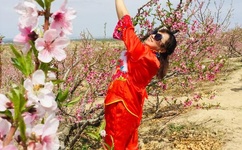 网站你懂我意思吧2020